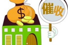 垣曲为什么选择专业追讨公司来处理您的债务纠纷？